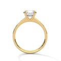 Aurora Classic Pavé Solitaire Engagement Ring