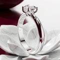 Isabella Round Moissanite Solitaire Ring